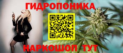 синтетический гашиш Заводоуковск
