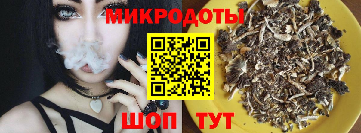 Псилоцибиновые грибы мицелий Миллерово