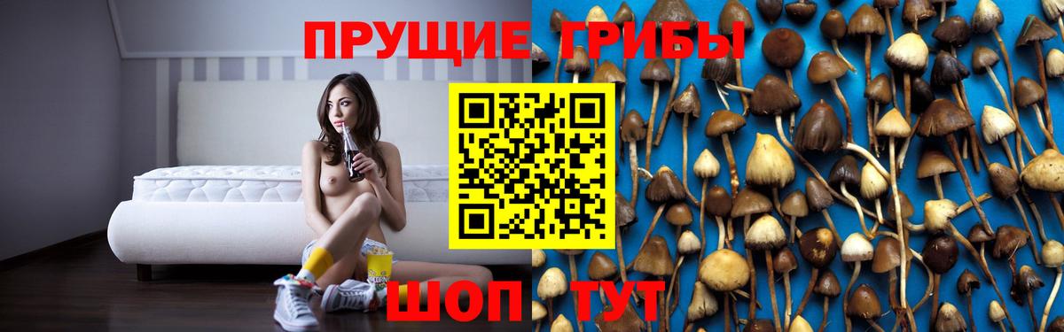 Миллерово  Псилоцибиновые грибы Magic Shrooms  Вход с VPN  Галлюциногенные грибы мицелий 